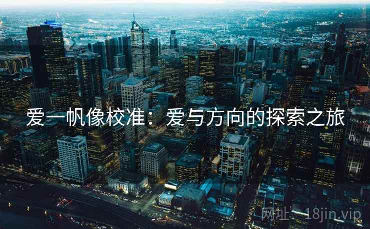 爱一帆像校准：爱与方向的探索之旅